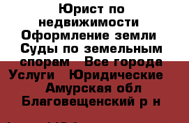 Юрист по недвижимости. Оформление земли. Суды по земельным спорам - Все города Услуги » Юридические   . Амурская обл.,Благовещенский р-н